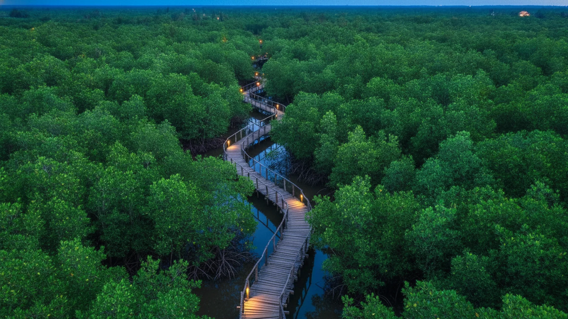 Parco Nazionale di Jozani — Zanzibar