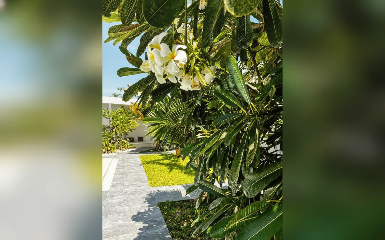Esterni di La Base Hotel, Zanzibar (foto 48)